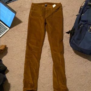 Patagonia Corduroy Pants